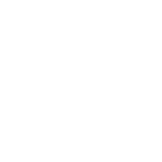 Discreetdolls small logo