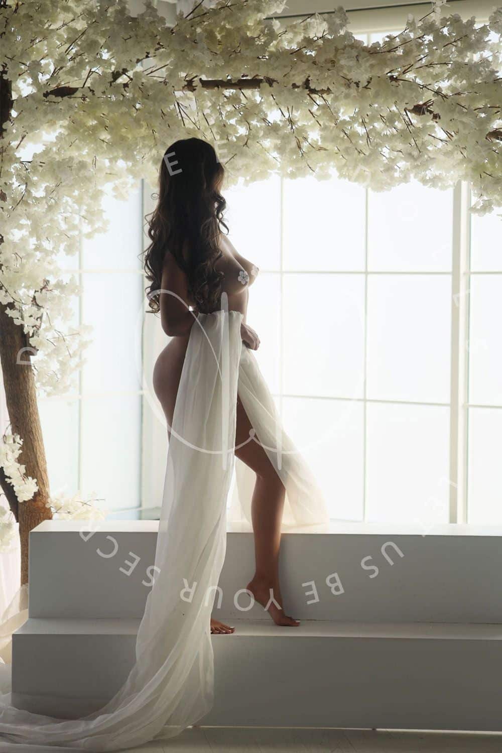 Toronto Sexy Escort Services
